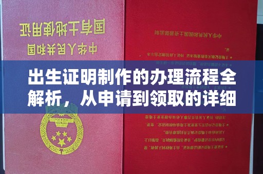 鄯善出生证明制作的办理流程全解析，从申请到领取的详细指南